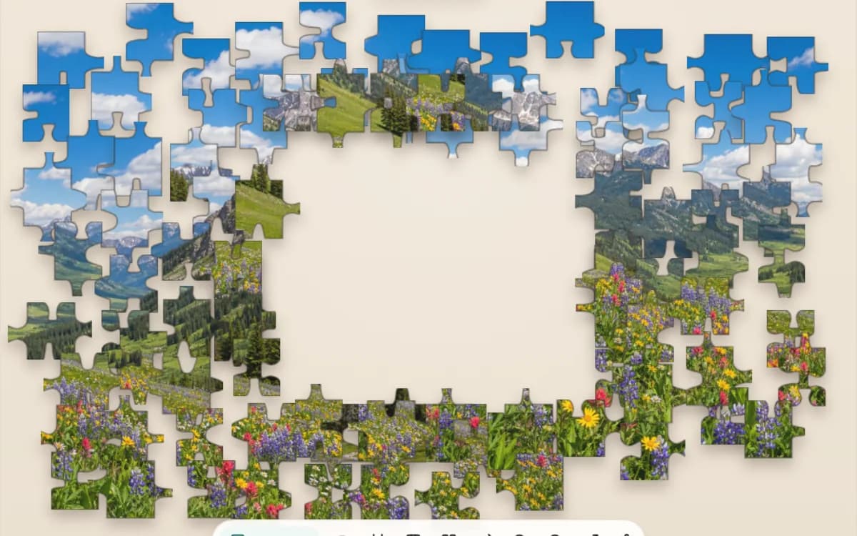 The Wildflower Valley puzzle at 300 pieces on Jigsaway, bands of bright flower color spread into pieces around an open center.