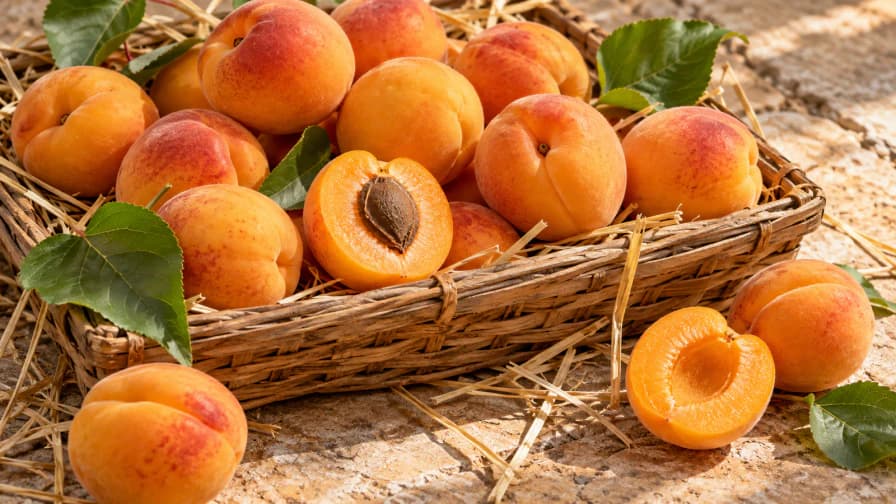 Apricots in a Wicker Crate jigsaw puzzle
