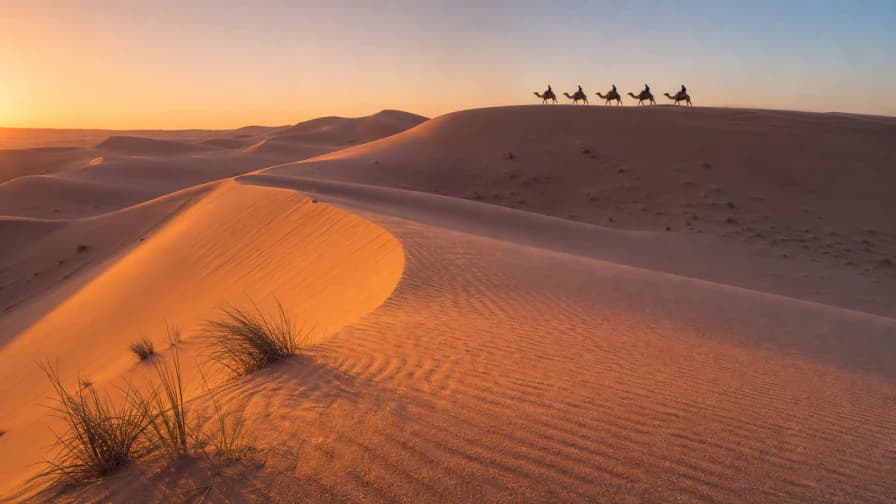 Desert Dunes at Sunset jigsaw puzzle preview