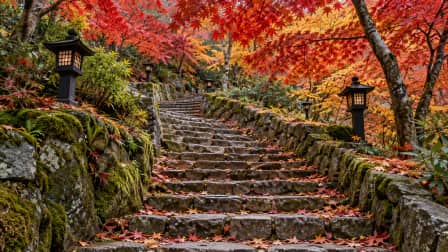 Autumn Maple Stairway jigsaw puzzle