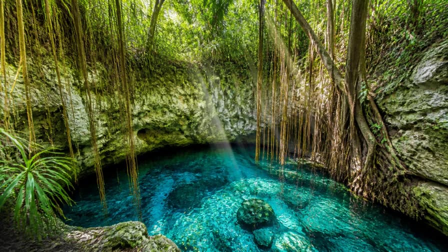 Hidden Cenote in the Jungle jigsaw puzzle preview