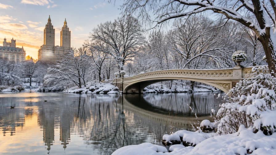 Snow in Central Park jigsaw puzzle preview