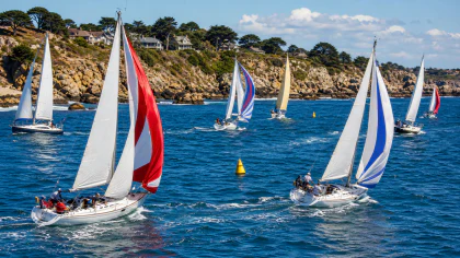 Sailboat Regatta on Blue Water jigsaw puzzle